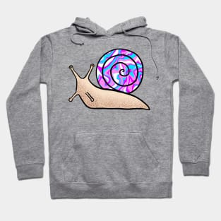 Psychedelic Snail Blue and Pink Shell Hoodie